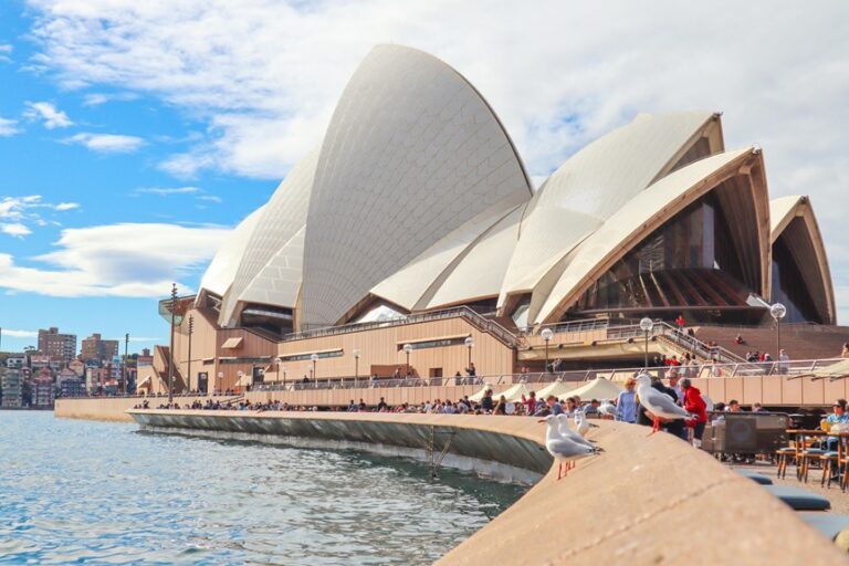 top activities in sydney